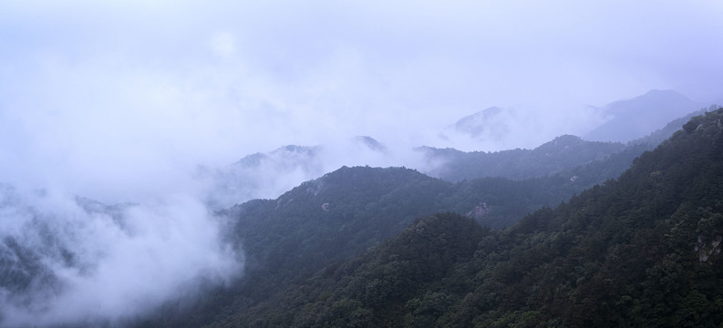 云山雾海图片