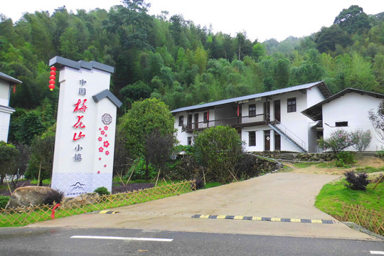 中国梅花山小镇