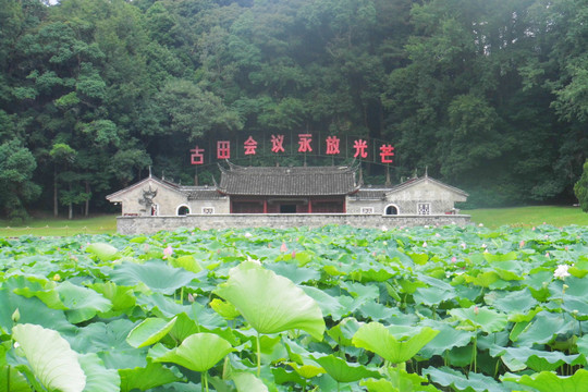 荷叶上的古田会议旧址