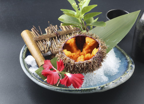 活海胆刺身