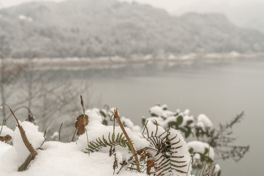 雅女湖冬季雪景