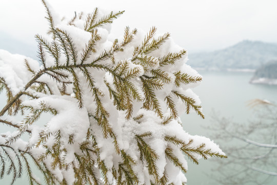 雅女湖冬季雪景