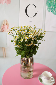小雏菊