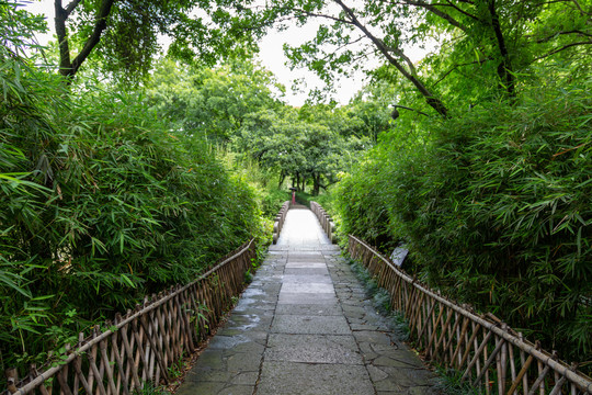 林间小路