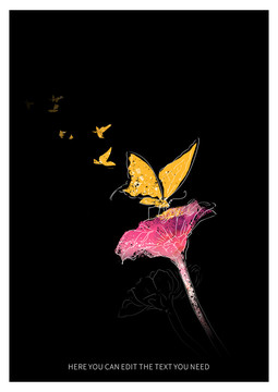 蝴蝶花卉配图插图