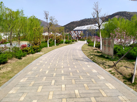 连云港星海湖公园步道