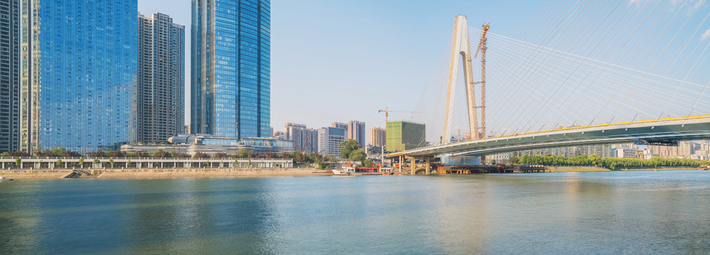 武汉城市建筑天际线和月湖大桥