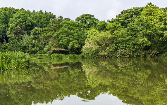 成都天鹅湖