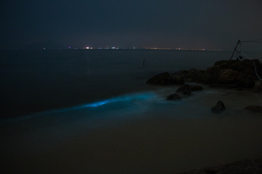 夜幕下的奇观荧光海滩