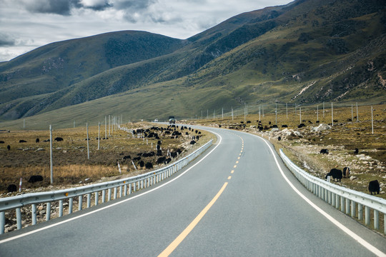 川藏线公路风景