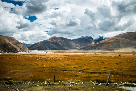 青藏线风景