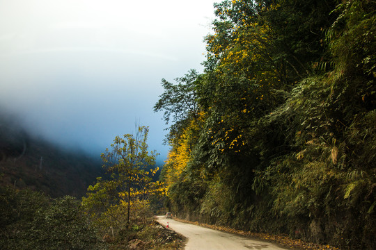 丙中洛丙察察公路风景