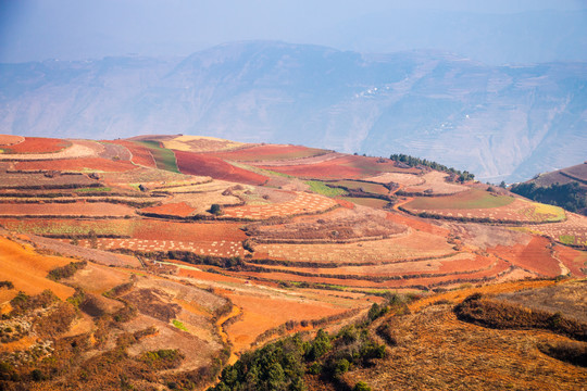 东川红土地