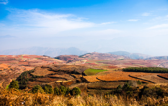 东川红土地