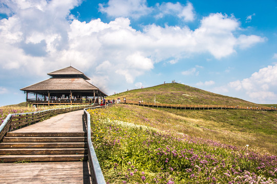 贵州毕节阿西里西韭菜坪旅游景区