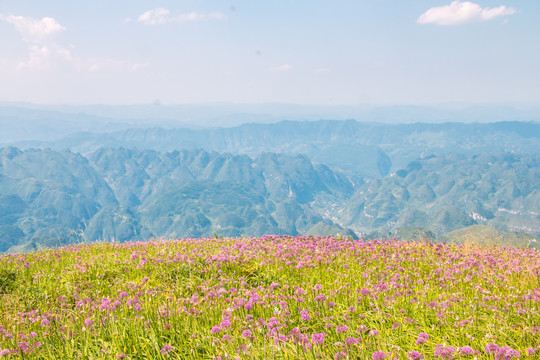 贵州毕节阿西里西韭菜坪旅游景区