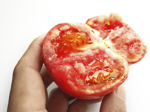 新鲜成熟西红柿