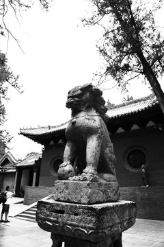 少林寺石狮子