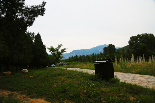 自然风景