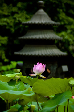 重庆华岩风景区