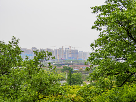 苏州市区全景