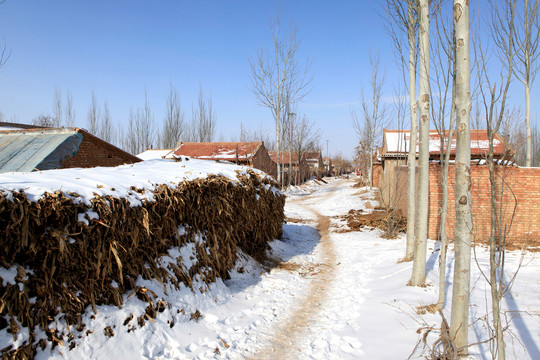 雪后村庄