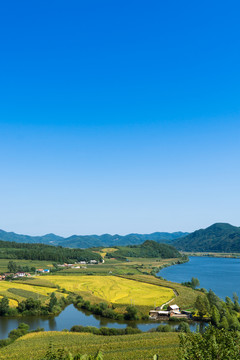 秋季乡村的田野