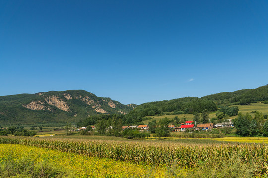 秋季山脚下的田野