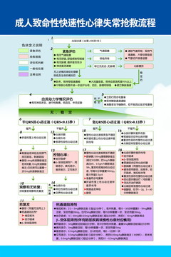 致命性快速性心律失常抢救流程