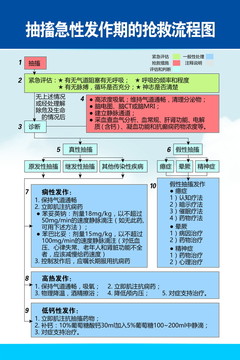 抽搐急性发作期的抢救流程图