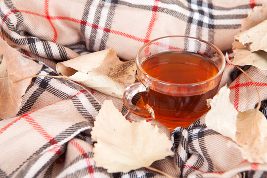 冬季的红茶