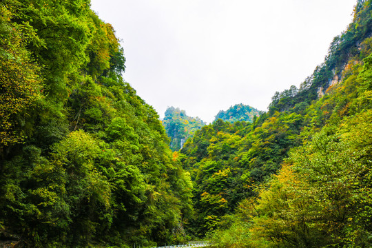 神农架林区