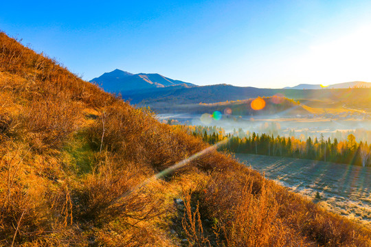 风景画