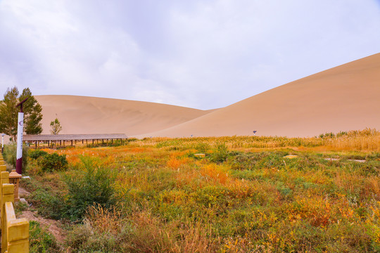 鸣沙山景区