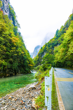 道路