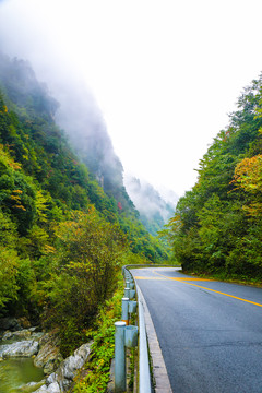 林间小路