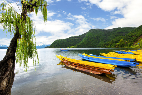 泸沽湖风光