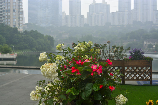 场景素材