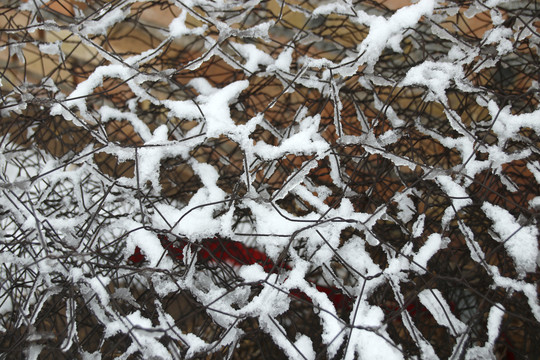 钢丝网上面的积雪纹理