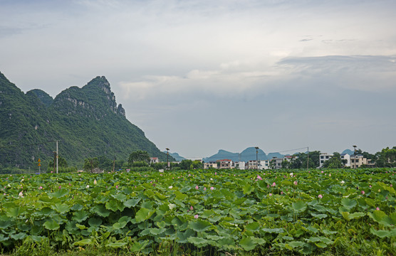 田园风光