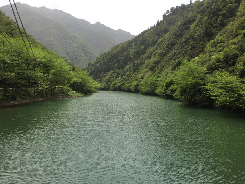 青山绿水