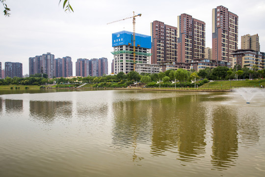 浐河湿地