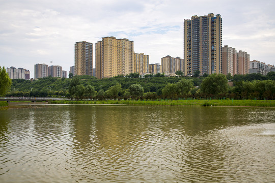 浐河湿地