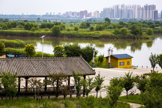 渭河湿地