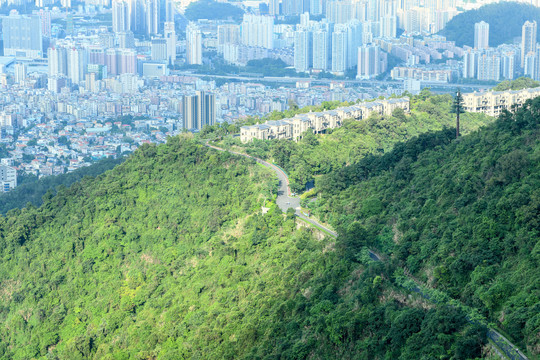 银湖山郊野公园盘山公路