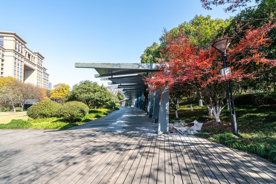 杭州城市绿地风景