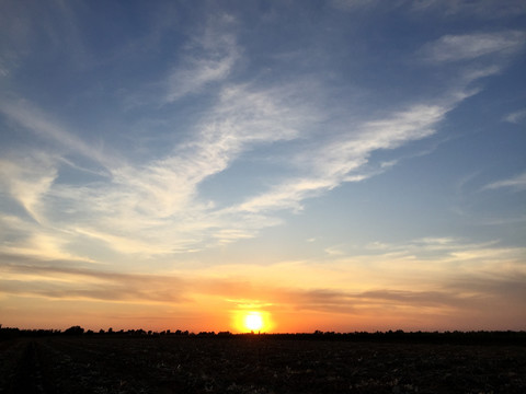 夕阳