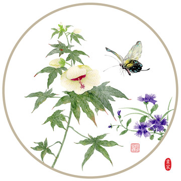 手绘秋葵石竹花圆形画