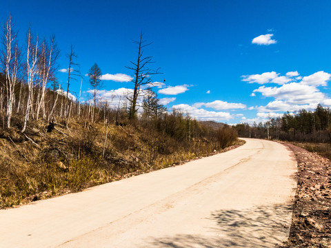 春季山林道路