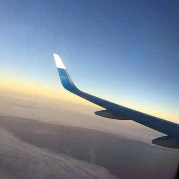 机翼
